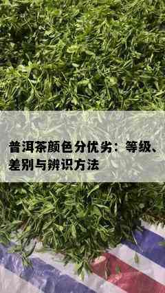 普洱茶颜色分优劣：等级、差别与辨识方法