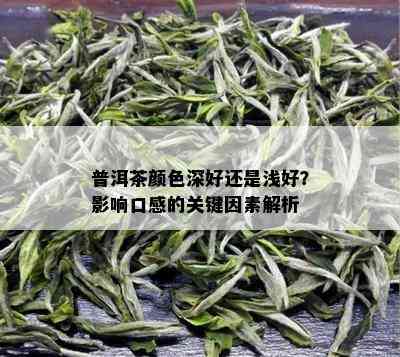 普洱茶颜色深好还是浅好？影响口感的关键因素解析