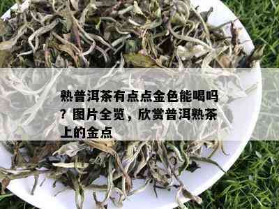 熟普洱茶有点点金色能喝吗？图片全览，欣赏普洱熟茶上的金点