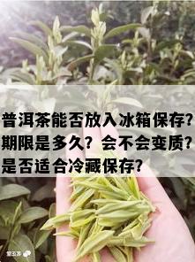 普洱茶能否放入冰箱保存？期限是多久？会不会变质？是否适合冷藏保存？