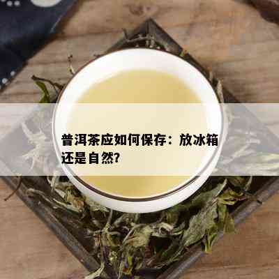 普洱茶应如何保存：放冰箱还是自然？