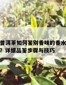 普洱茶如何鉴别香味的香水？详细品鉴步骤与技巧