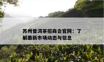 苏州普洱茶招商会官网：了解最新市场动态与信息