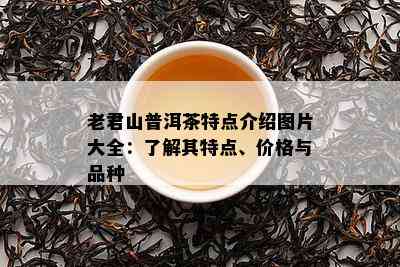 老君山普洱茶特点介绍图片大全：了解其特点、价格与品种