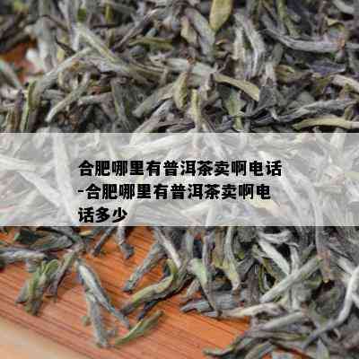 合肥哪里有普洱茶卖啊电话-合肥哪里有普洱茶卖啊电话多少