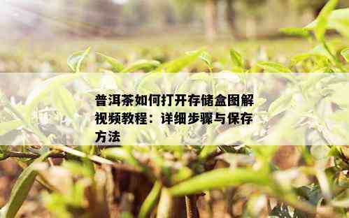 普洱茶如何打开存储盒图解视频教程：详细步骤与保存方法