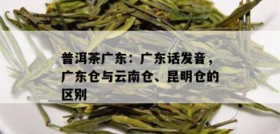 普洱茶广东：广东话发音，广东仓与云南仓、昆明仓的区别