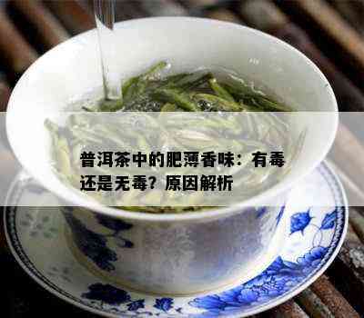 普洱茶中的肥薄香味：有还是无？原因解析