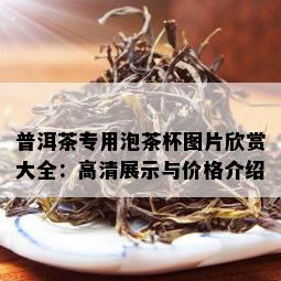 普洱茶专用泡茶杯图片欣赏大全：高清展示与价格介绍