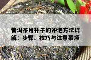 普洱茶用杯子的冲泡方法详解：步骤、技巧与注意事项