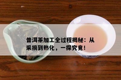 普洱茶加工全过程揭秘：从采摘到熟化，一探究竟！