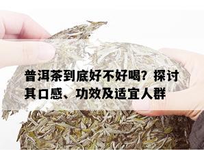 普洱茶到底好不好喝？探讨其口感、功效及适宜人群