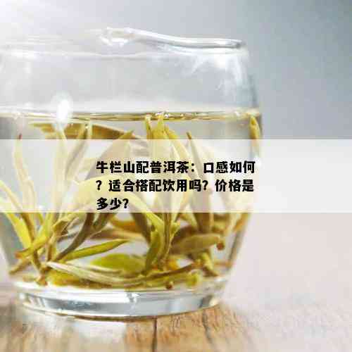 牛栏山配普洱茶：口感如何？适合搭配饮用吗？价格是多少？