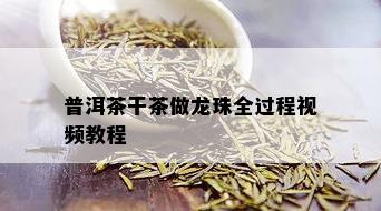 普洱茶干茶做龙珠全过程视频教程