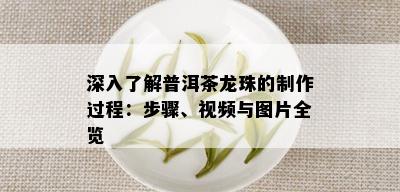 深入了解普洱茶龙珠的制作过程：步骤、视频与图片全览