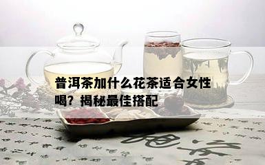 普洱茶加什么花茶适合女性喝？揭秘更佳搭配