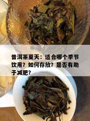 普洱茶夏天：适合哪个季节饮用？如何存放？是否有助于减肥？