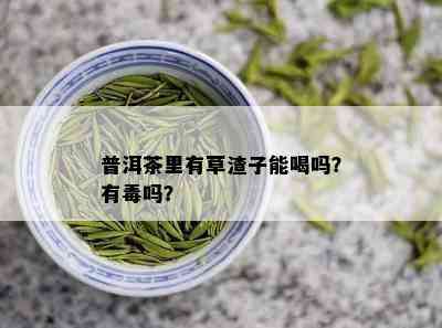 普洱茶里有草渣子能喝吗？有吗？