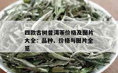 四款古树普洱茶价格及图片大全：品种、价格与图片全览