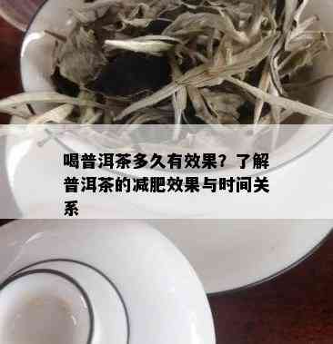 喝普洱茶多久有效果？了解普洱茶的减肥效果与时间关系