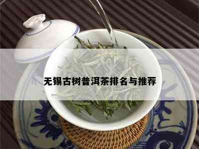 无锡古树普洱茶排名与推荐