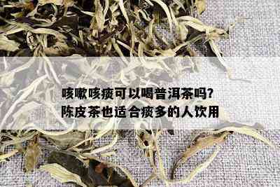 咳嗽咳痰可以喝普洱茶吗？陈皮茶也适合痰多的人饮用