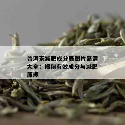 普洱茶减肥成分表图片高清大全：揭秘有效成分与减肥原理