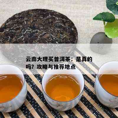 云南大理买普洱茶：是真的吗？攻略与推荐地点