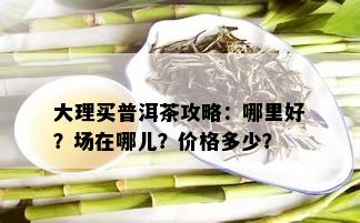 大理买普洱茶攻略：哪里好？场在哪儿？价格多少？