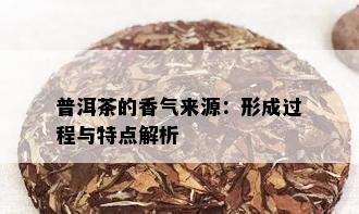 普洱茶的香气来源：形成过程与特点解析