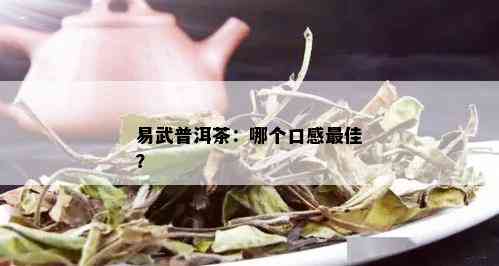 易武普洱茶：哪个口感更佳？