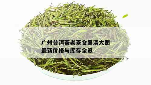 广州普洱茶老茶仓高清大图最新价格与库存全览