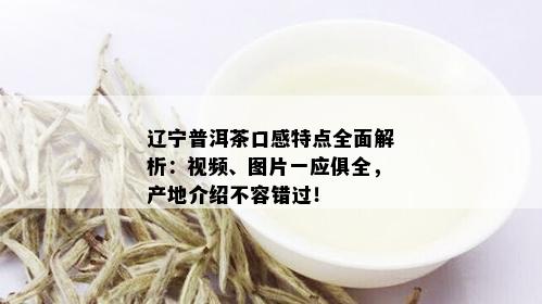 辽宁普洱茶口感特点全面解析：视频、图片一应俱全，产地介绍不容错过！