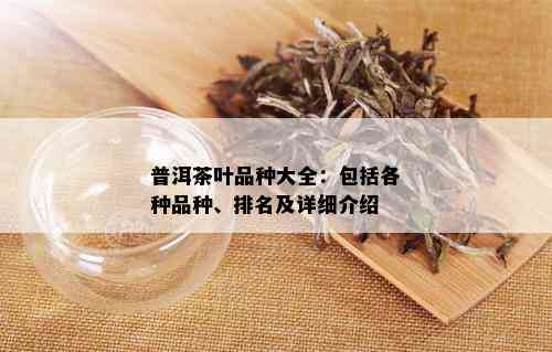 普洱茶叶品种大全：包括各种品种、排名及详细介绍