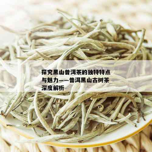 探究黑山普洱茶的独特特点与魅力——普洱黑山古树茶深度解析