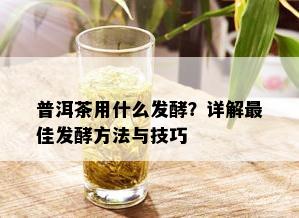 普洱茶用什么发酵？详解更佳发酵方法与技巧