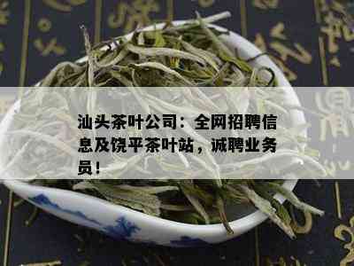 汕头茶叶公司：全网招聘信息及饶平茶叶站，诚聘业务员！