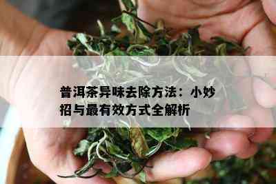 普洱茶异味去除方法：小妙招与最有效方式全解析