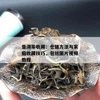 普洱茶收藏：仓储方法与家庭收藏技巧，包括图片视频教程