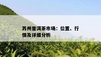 苏州普洱茶市场：位置、行情及详细分析