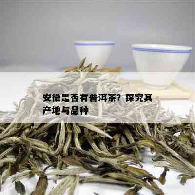 安徽是否有普洱茶？探究其产地与品种