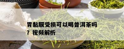 胃黏膜受损可以喝普洱茶吗？视频解析