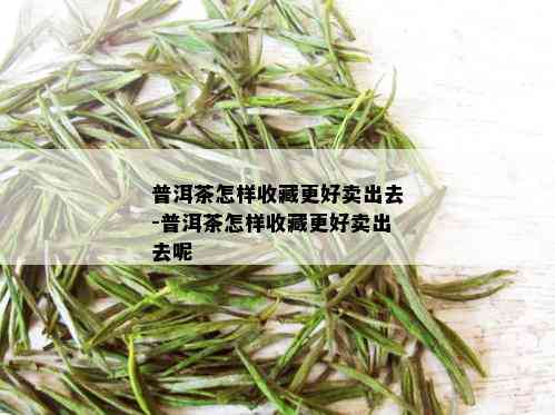 普洱茶怎样收藏更好卖出去-普洱茶怎样收藏更好卖出去呢