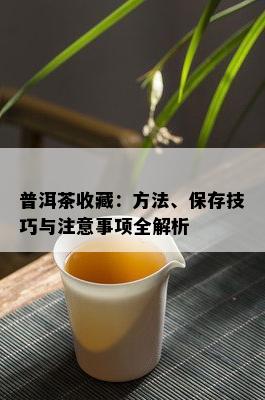 普洱茶收藏：方法、保存技巧与注意事项全解析