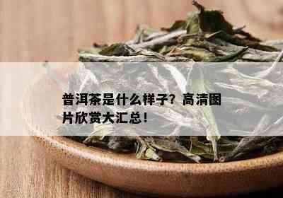 普洱茶是什么样子？高清图片欣赏大汇总！