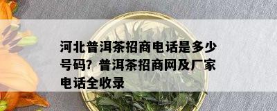 河北普洱茶招商电话是多少号码？普洱茶招商网及厂家电话全收录