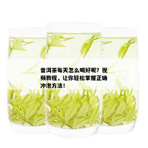 普洱茶每天怎么喝好呢？视频教程，让你轻松掌握正确冲泡方法！