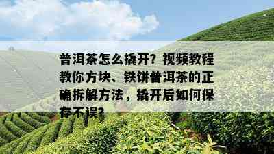 普洱茶怎么撬开？视频教程教你方块、铁饼普洱茶的正确拆解方法，撬开后如何保存不误？