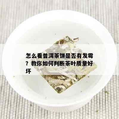 怎么看普洱茶饼是否有发霉？教你如何判断茶叶质量好坏