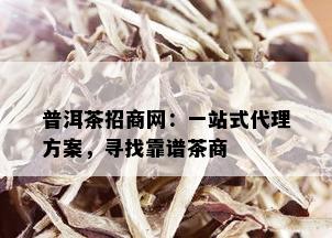 普洱茶招商网：一站式代理方案，寻找靠谱茶商